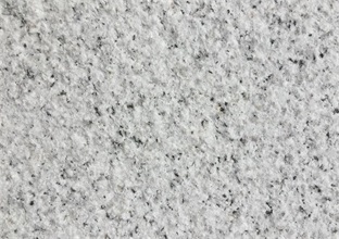 山東白麻吸收不同能力發(fā)生的變化